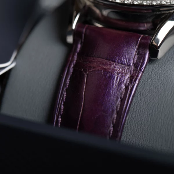 TagHeuer:WBK1316:5